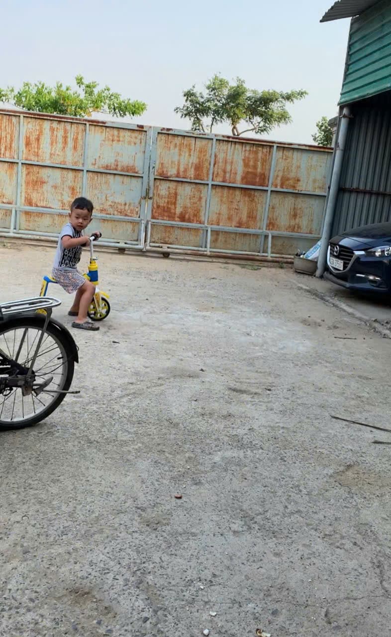 Đất nền mặt tiền đường Thăng Long 567m2, phù hợp kinh doanh và đầu tư - Ảnh 2