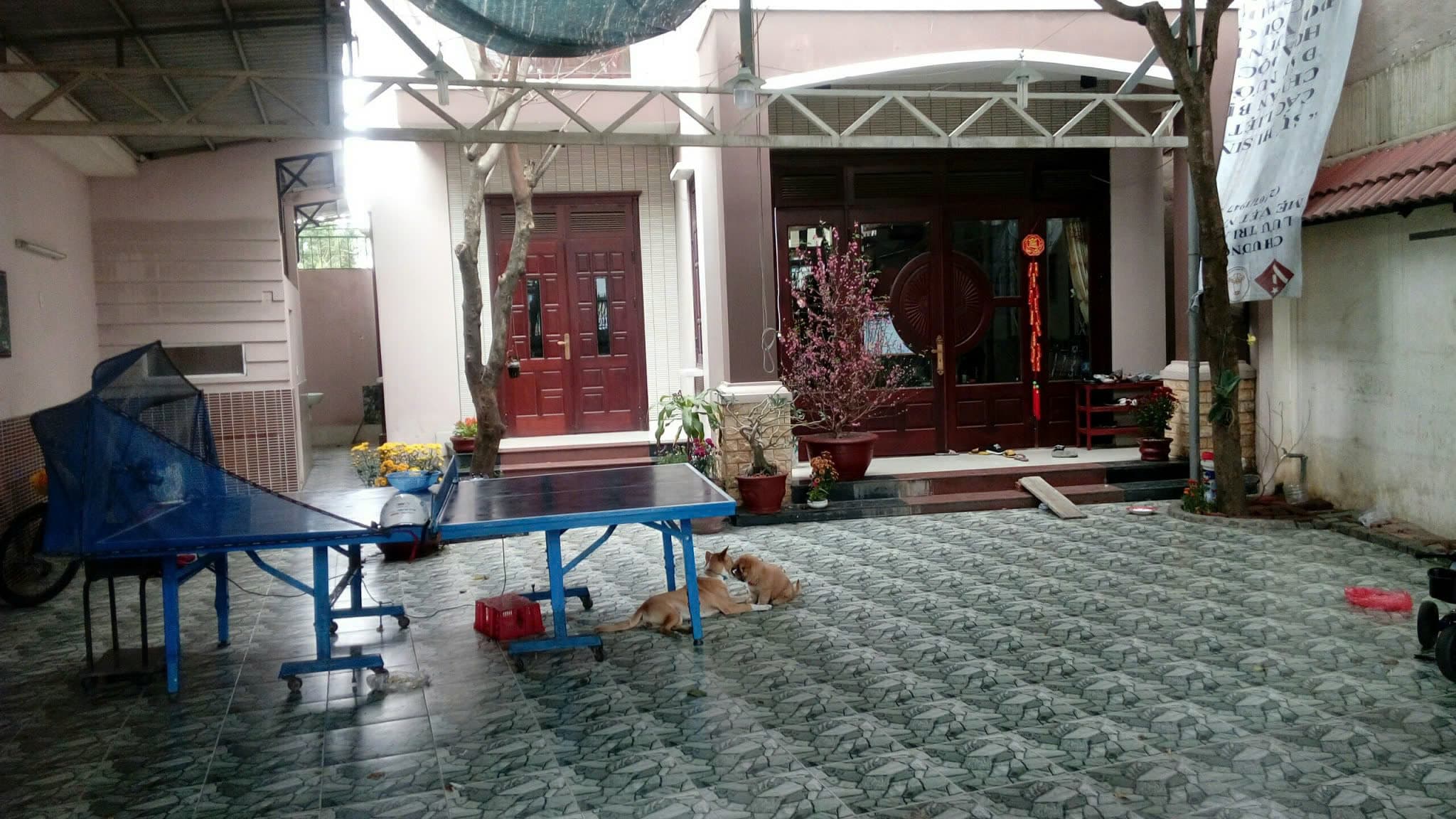 Biệt thự mini 2 tầng mặt tiền Cách Mạng Tháng 8, diện tích 240m2, phù hợp làm văn phòng - Ảnh 10