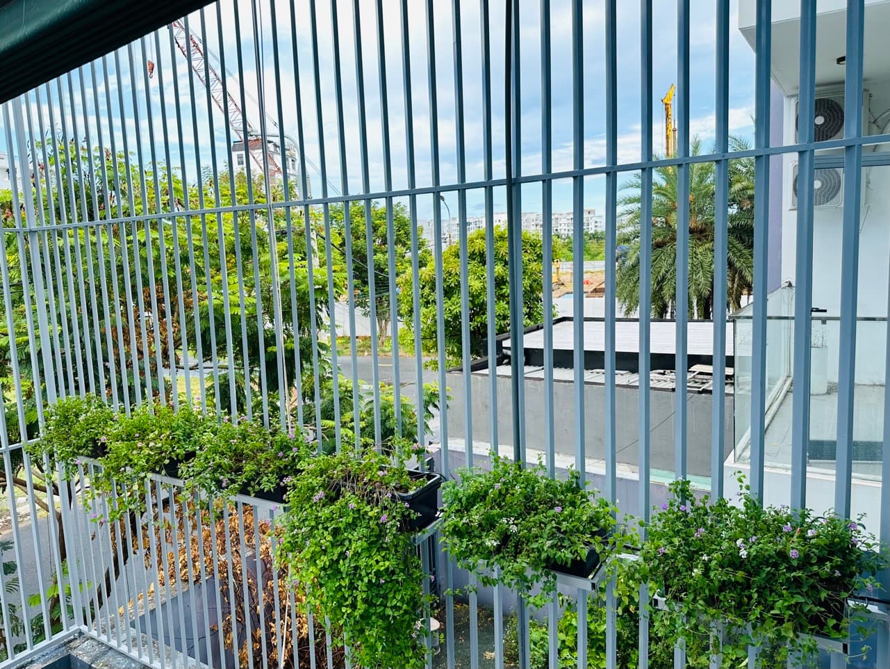 Nhà nguyên căn 3 tầng đường Lê Văn Duyệt, diện tích 100m2 - Ảnh 4