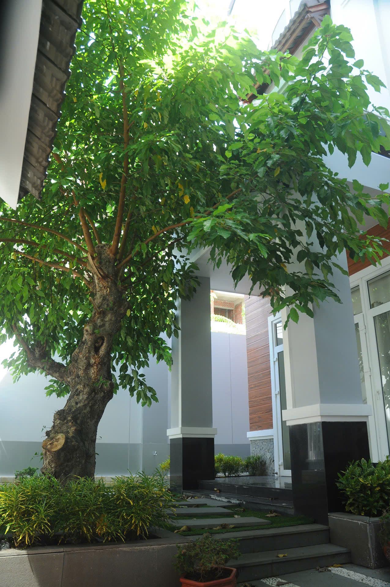 Nhà 3 tầng ngã tư Dương Đình Nghệ và Lê Văn Quý, diện tích 200m², phù hợp kinh doanh cà phê và làm văn phòng - Ảnh 9