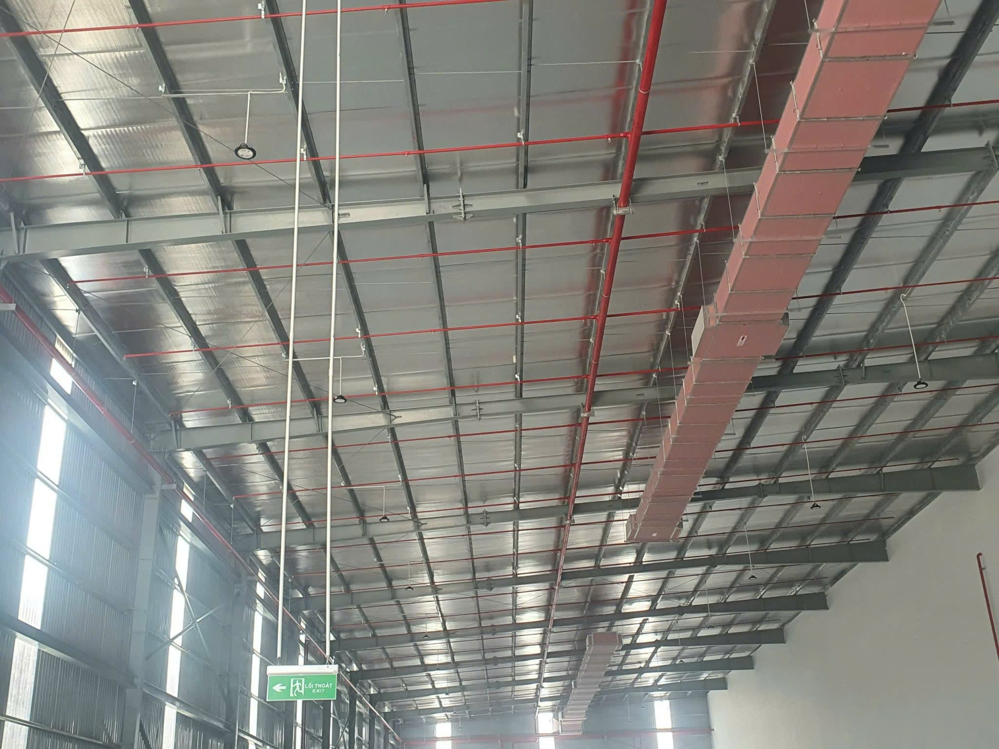 Kho bãi 720m2 đường số 10, Hoà Khánh, phù hợp lưu trữ hàng hóa - Ảnh 4