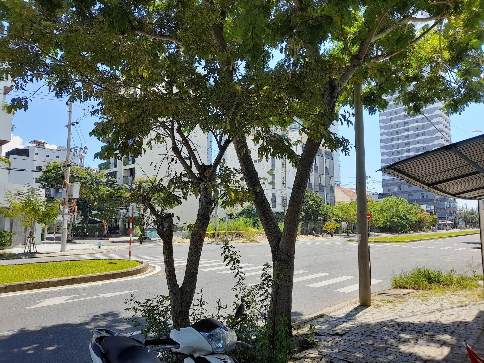 3 lô đất nền đường Vương Thừa Vũ gần ngã tư Đỗ Thế ChấP - Ảnh 1