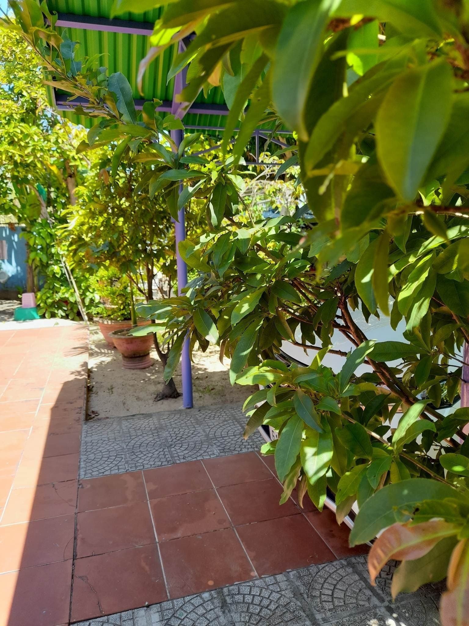 3 lô đất nền đường Vương Thừa Vũ gần ngã tư Đỗ Thế ChấP - Ảnh 4