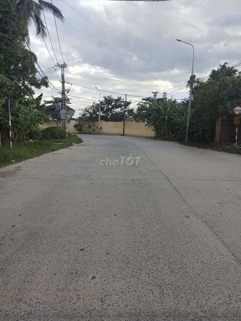 Cho thuê kho bãi 2000m2 tại Tuý Loan, Hòa Vang, có sân bãi container - Ảnh 2