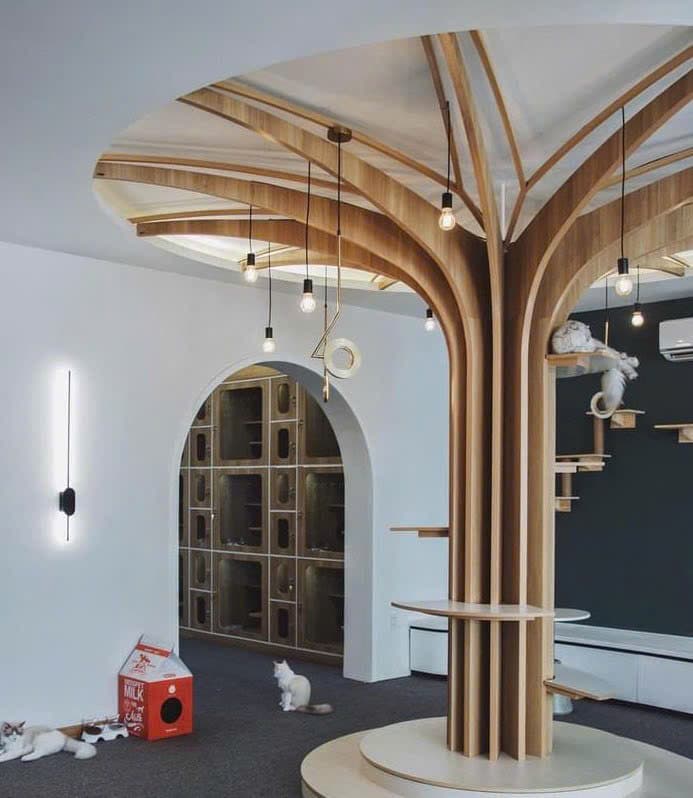 Mặt bằng kinh doanh 150m2 x 3 tầng, có cửa kính mới đẹp tại Yên Bái - Ảnh 2