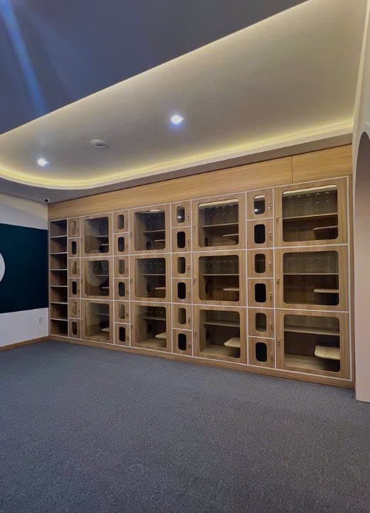 Mặt bằng kinh doanh 150m2 x 3 tầng, có cửa kính mới đẹp tại Yên Bái - Ảnh 6