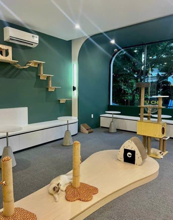 Mặt bằng kinh doanh 150m2 x 3 tầng, có cửa kính mới đẹp tại Yên Bái - Ảnh 7