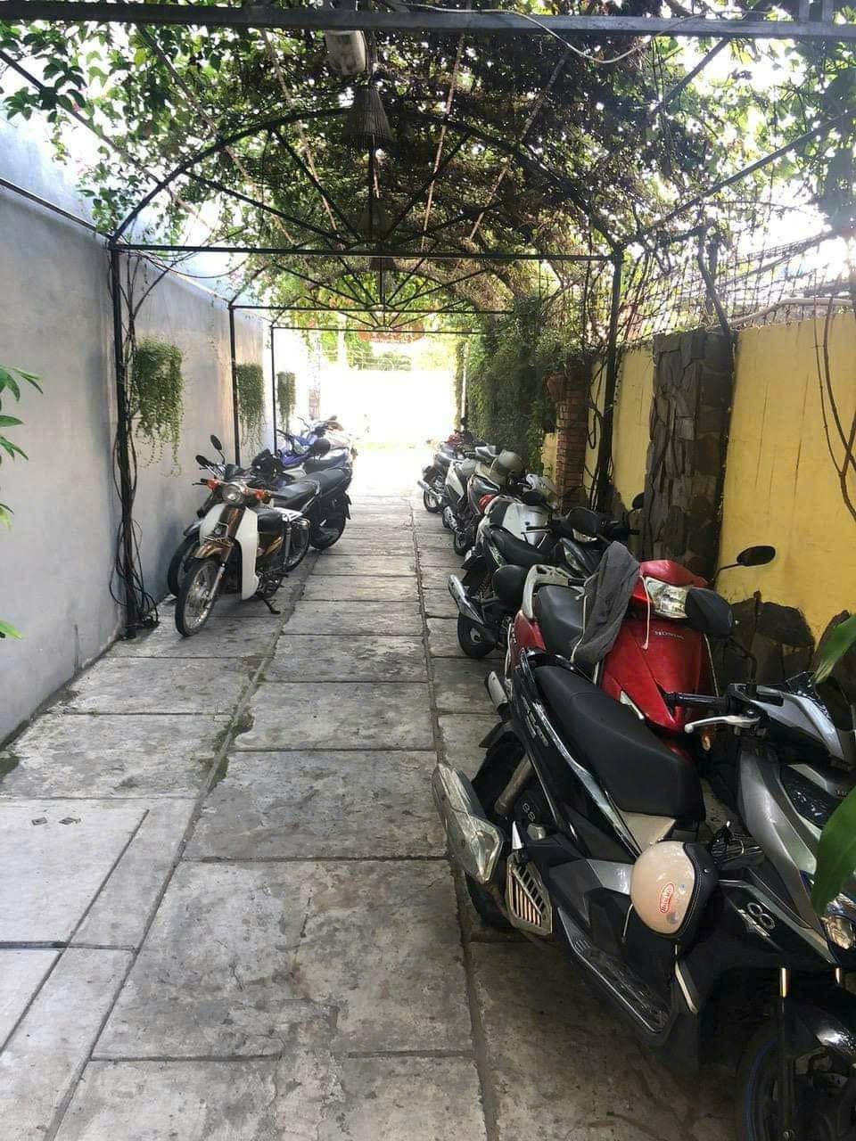 Nhà sân vườn cho thuê tại Nguyễn Lương Bằng, diện tích 300m2, phù hợp kinh doanh cà phê - Ảnh 5