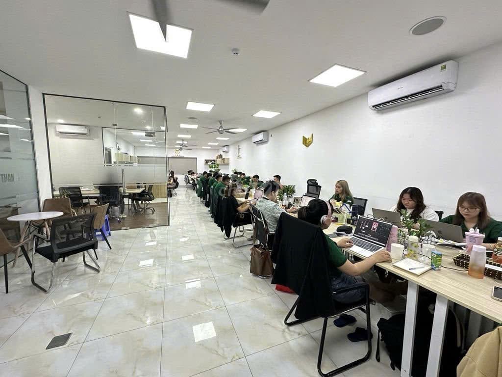 Văn phòng kết hợp nhà ở 720m² tại Gò Nảy 4, có thang máy và sân vườn tầng thượng - Ảnh 5