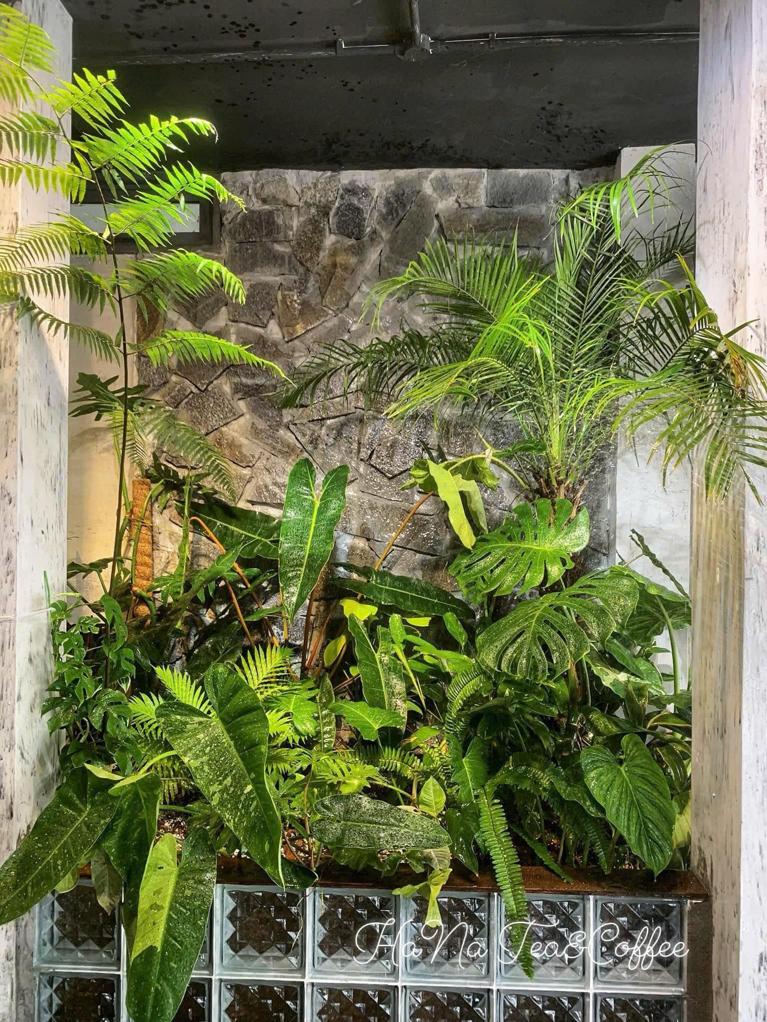 MẶT BẰNG LÊ THÁNH TÔN SẴN QUÁN CAFE NGANG GẦN 10M - Ảnh 5