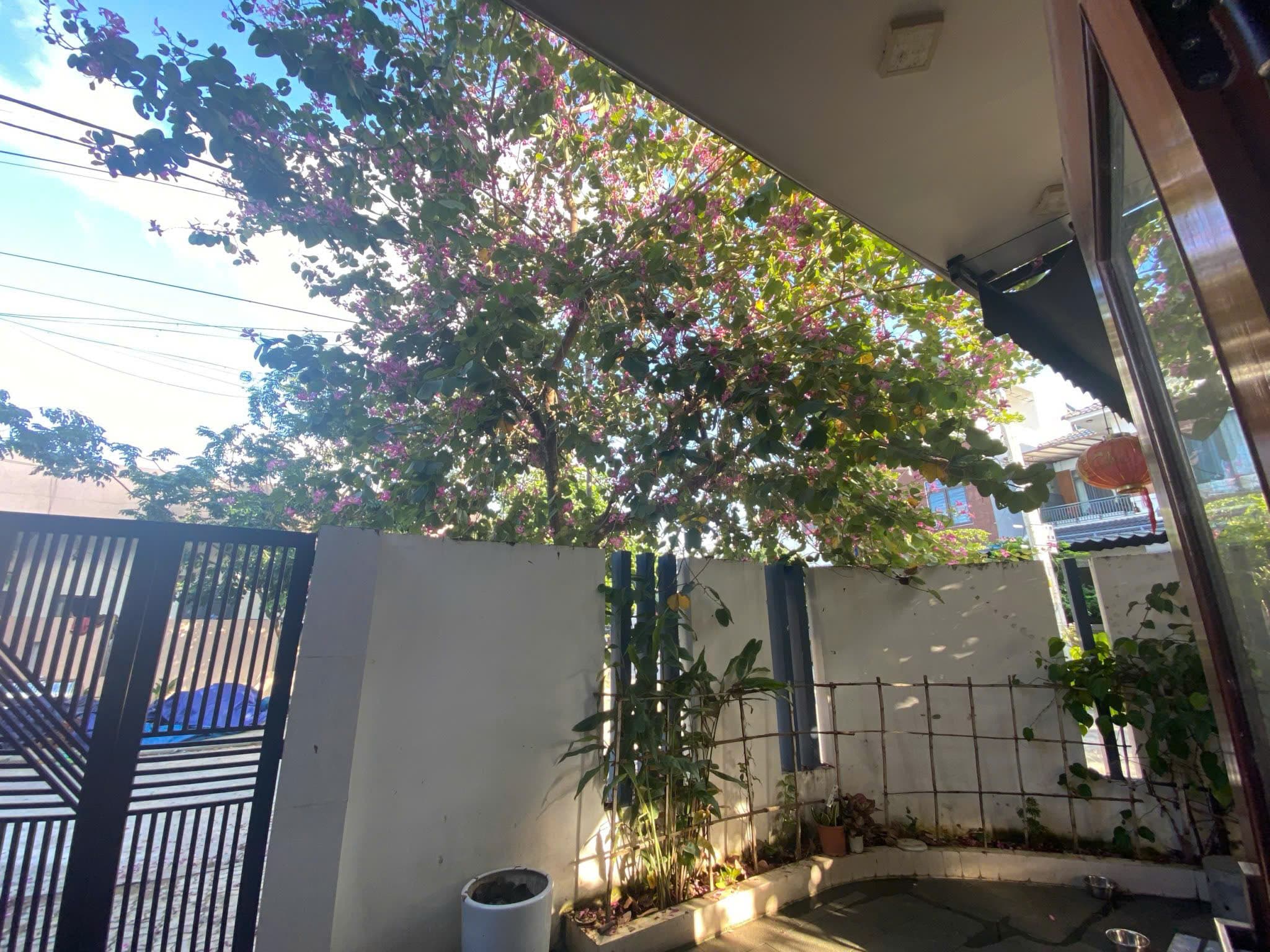 Nhà lô góc 2 mặt tiền Phước Tường 6, Cẩm Lệ, phù hợp để ở và kinh doanh - Ảnh 5