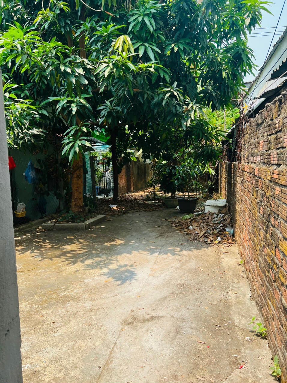 Nhà 2 mặt tiền Nguyễn Tri Phương 215m2 phù hợp kinh doanh đa ngành - Ảnh 6