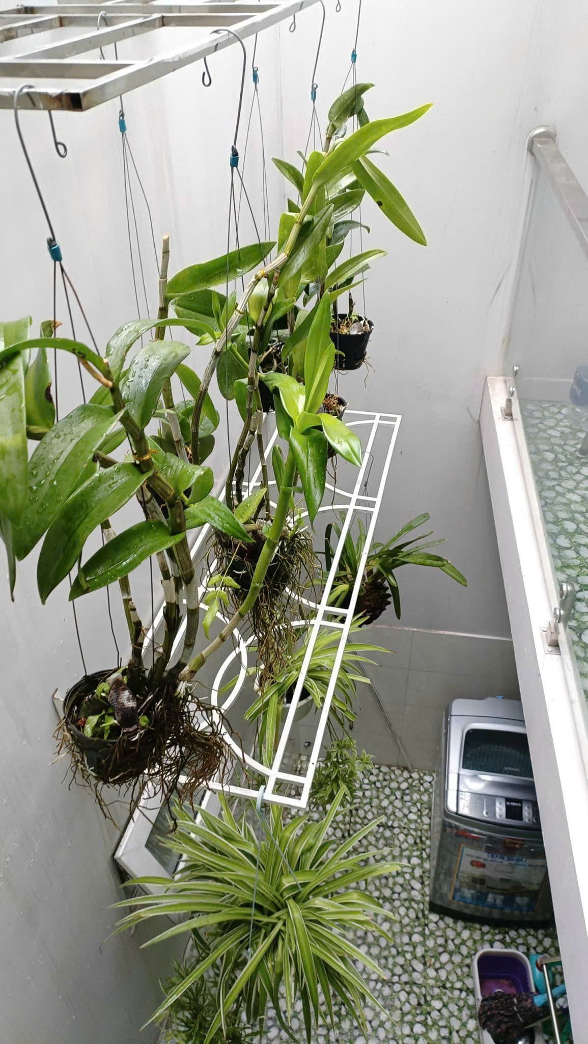 Nhà nguyên căn 2 tầng kiệt đường Phan Kế Bính - Ảnh 3