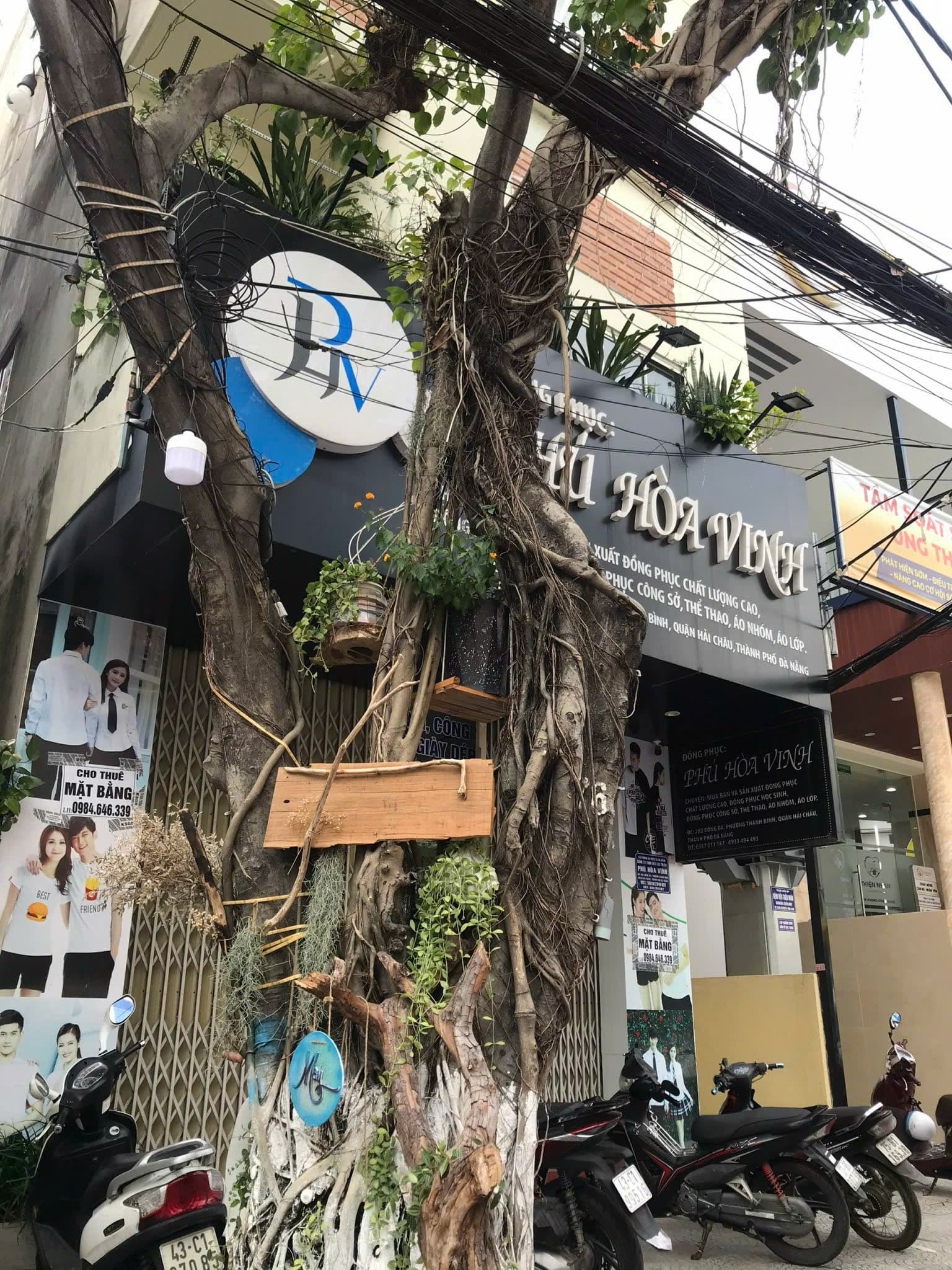 Mặt bằng trống suốt 60m2 tại Đống Đa, có nhà vệ sinh riêng, phù hợp kinh doanh - Ảnh 2