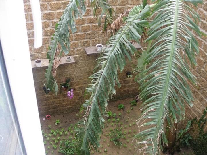 BÁN NHÀ 4 TẦNG – ĐƯỜNG 30/4 – VỊ TRÍ ĐẸP, GẦN NGÃ TƯ - Ảnh 3