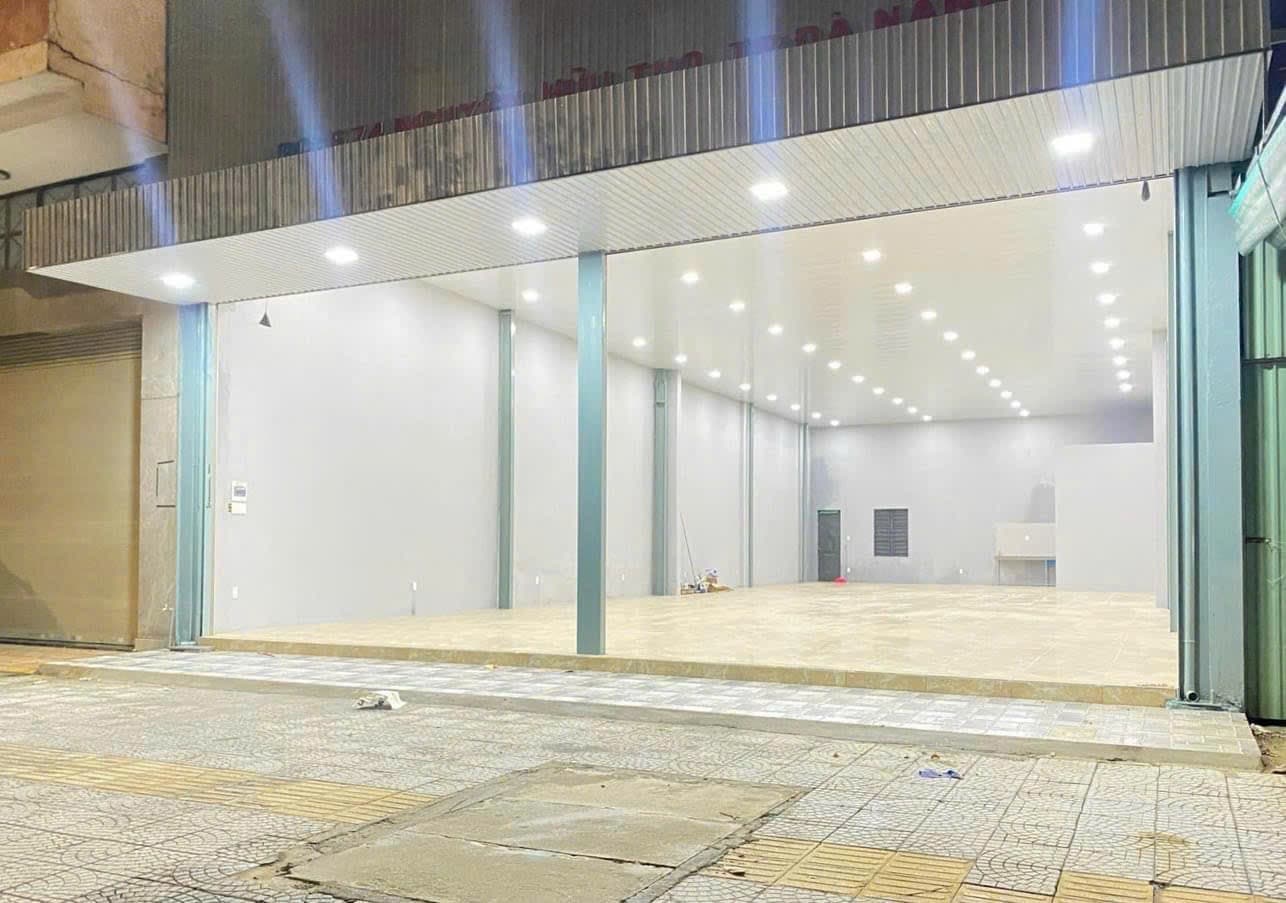 Đất nền 250m2 mặt tiền 10m tại Nguyễn Hữu Thọ, Cẩm Lệ - Ảnh 2