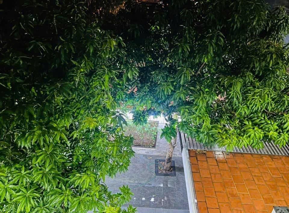 Nhà nguyên căn 7 phòng tại Đỗ Đăng Đệ, Cẩm Lệ, diện tích đất 240m2, phù hợp cho thuê dài hạn - Ảnh 2