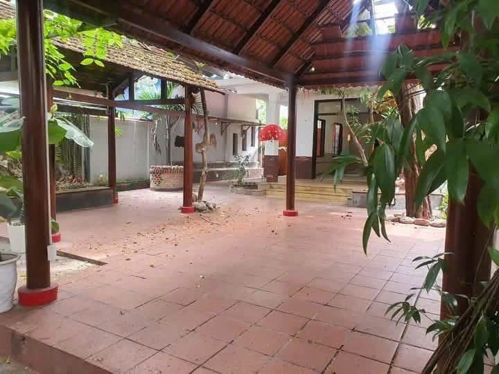 Mặt bằng sân vườn kiệt Đặng Thai Mai - Ảnh 1