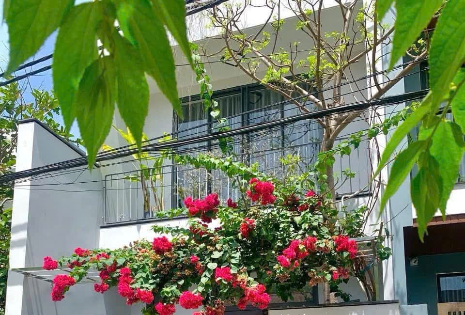 NGUYÊN CĂN NHÀ Ở KHU NAM VIỆT Á - Ảnh 6