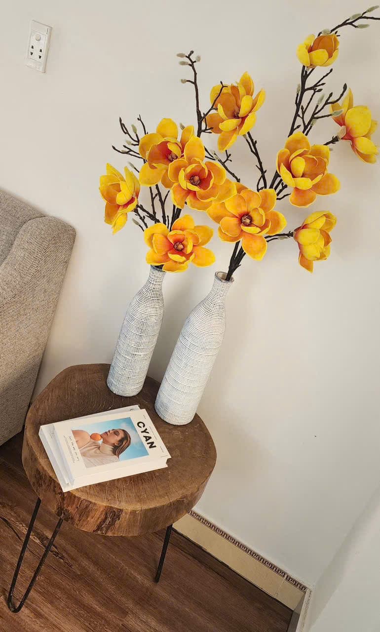 NGUYÊN CĂN 2 TẦNG NGAY BIỂN MÂN THÁI - Ảnh 6