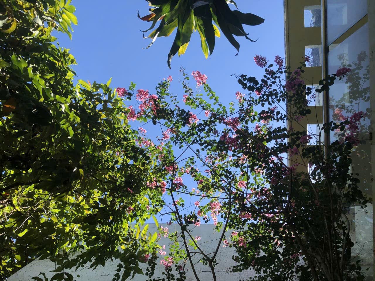 NGUYÊN CĂN 3 TẦNG KHU PHẠM VĂN ĐỒNG - Ảnh 9