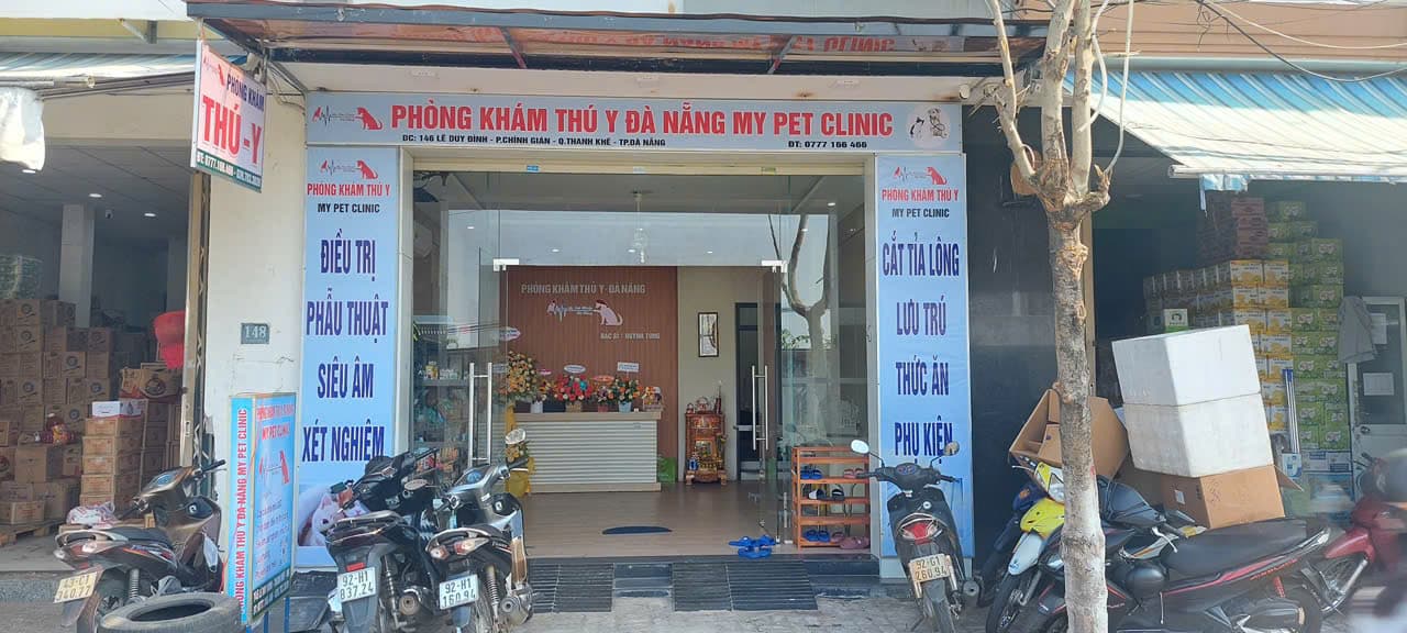 CHO THUÊ NHÀ NGUYÊN CĂN 3 TẦNG TẠI ĐƯỜNG LÊ DUY ĐÌNH - Ảnh 4