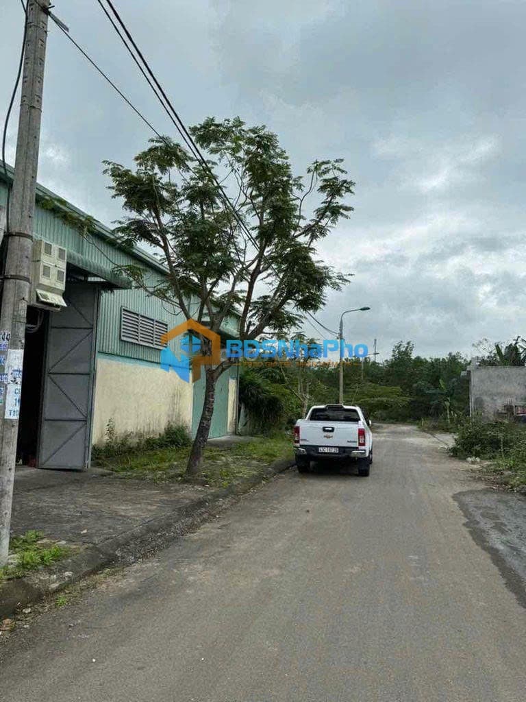 Cho thuê KHO đường Đại La 6 - Hòa Vang - Ảnh 3