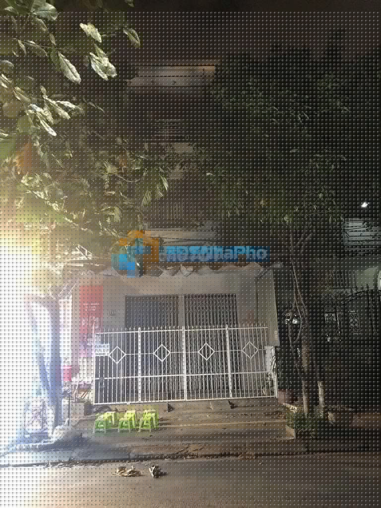 CHO THUÊ NHÀ NGUYÊN CĂN 3 TẦNG DT 100M2 TẠI NẠI HIÊN ĐÔNG - Ảnh 1